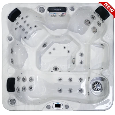 Costa-X EC-749LX hot tubs for sale in Farmington Hills