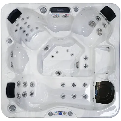 Avalon EC-849L hot tubs for sale in Farmington Hills