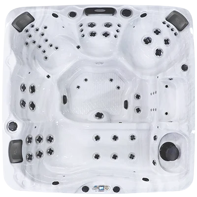 Avalon EC-867L hot tubs for sale in Farmington Hills