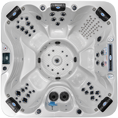 Laguna PL-793B hot tubs for sale in Farmington Hills